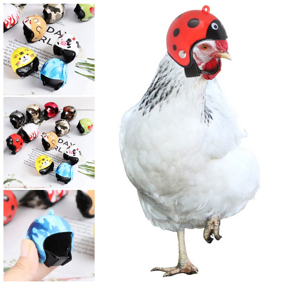 Pet X Supplies & Tack Howell Photos - لوازم حيوانات أليفة مضحكة من مادة