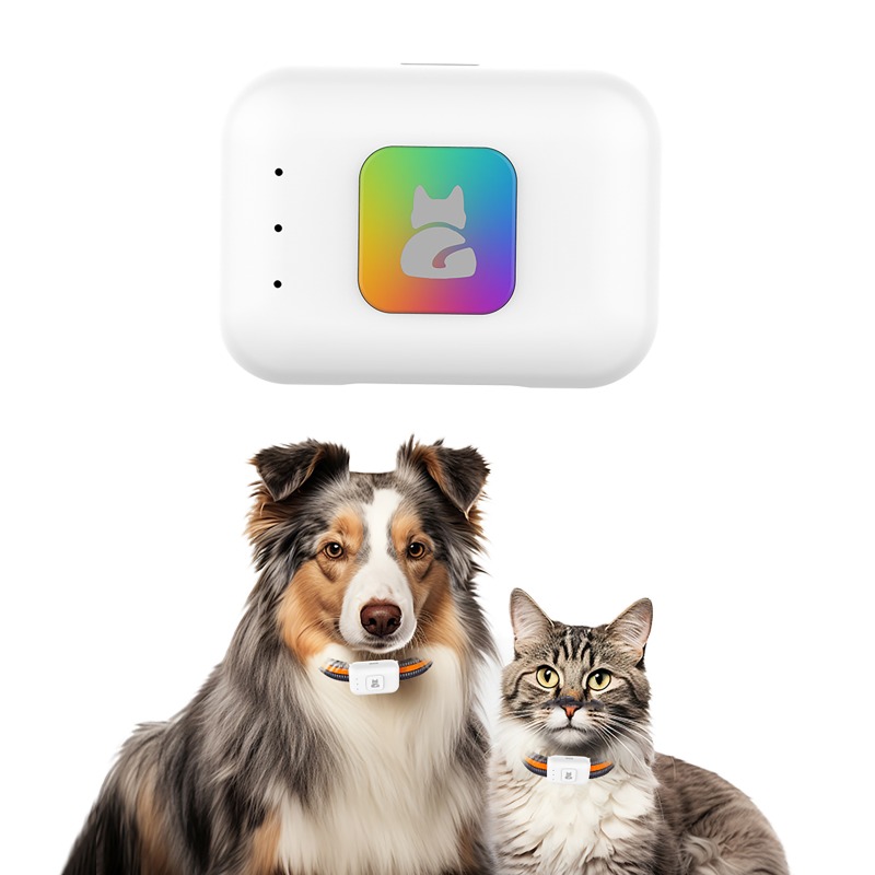 جهاز تتبع نظام تحديد المواقع A - مراجعة Pet Supplies Direct وسعره
