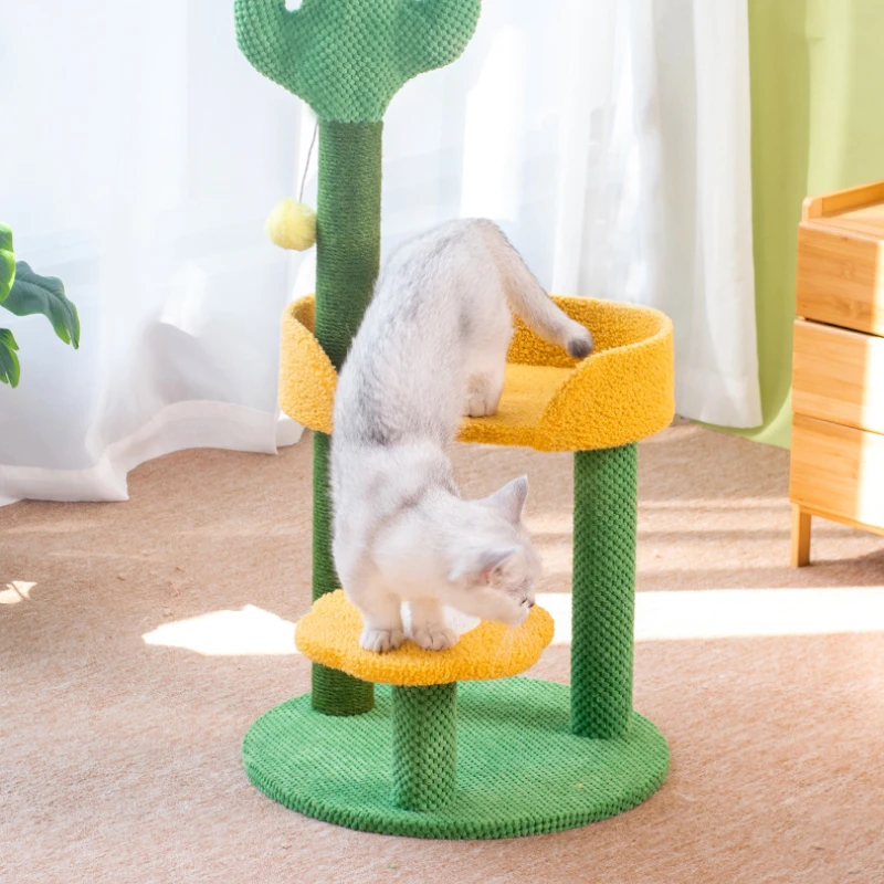 إطار تسلق للقطط من حبل السيزال - مراجعة Cat Scratching Post وسعره