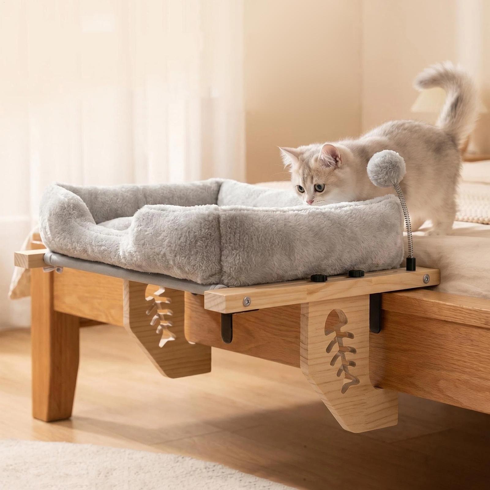 منصة نافذة للقطط مع وسادة مخمل - مراجعة Cat Window Perch وسعره