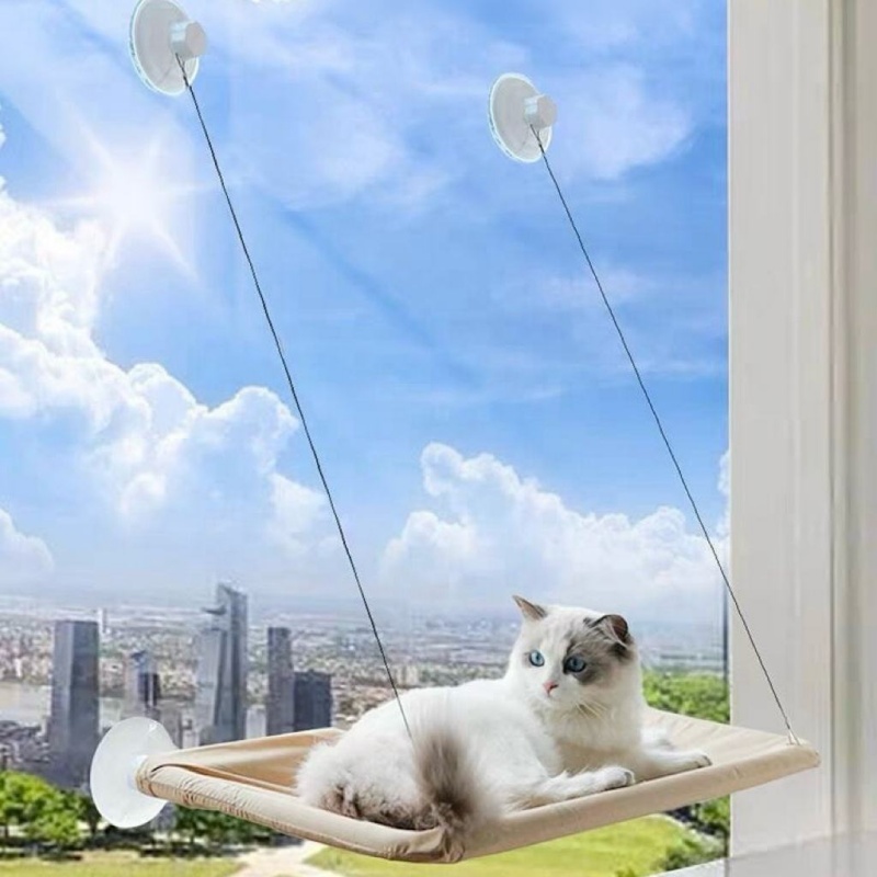 سرير قطط معلق على النافذة مع أ - مراجعة Cat Window Perch وسعره
