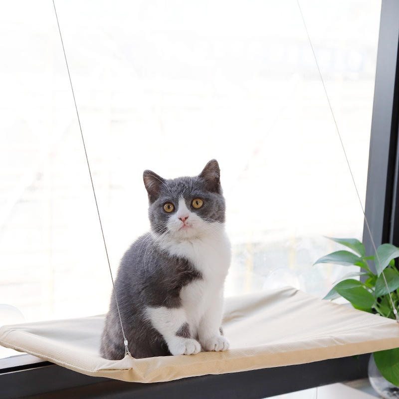 سرير قطط معلق على النافذة مع أ - مراجعة Cat Window Perch وسعره