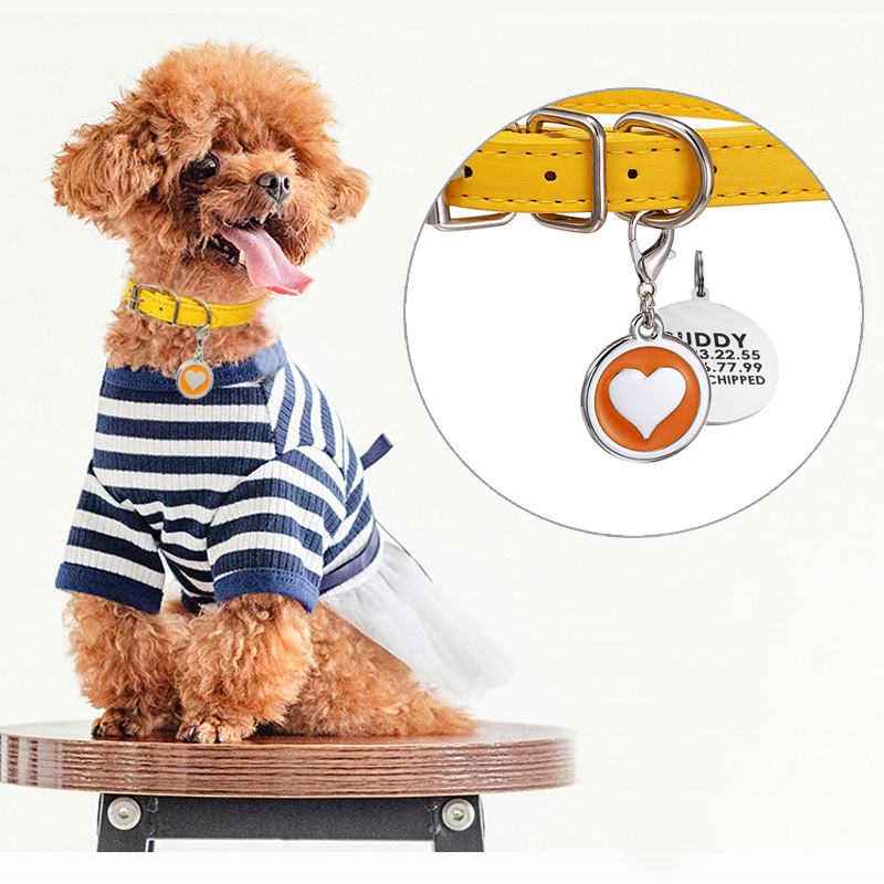 الحيوانات الأليفة القط الكلب ي - مراجعة Pet Supplies Login وسعره