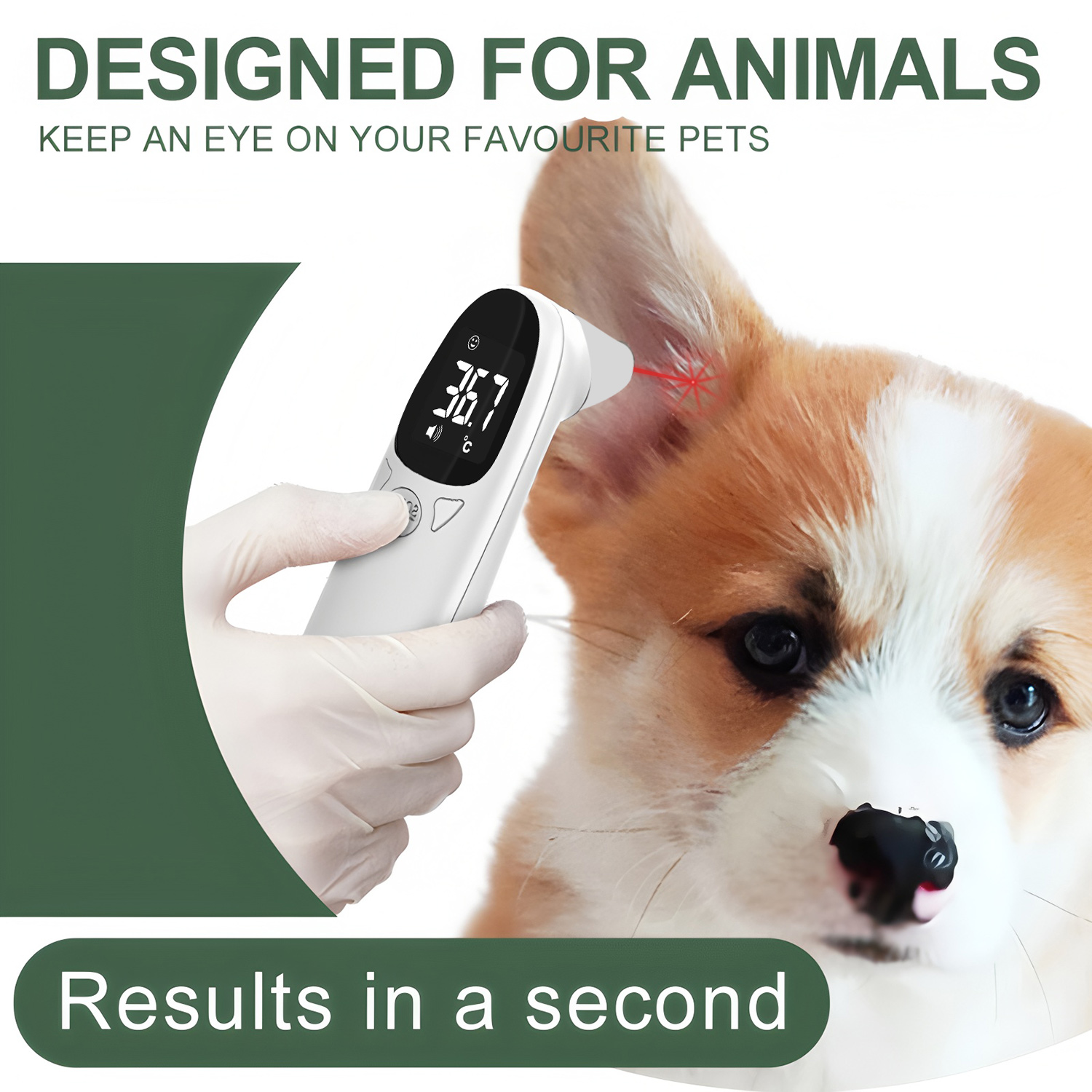 ميزان حرارة رقمي للأذن للحيوان - مراجعة Pet Supplies Direct وسعره