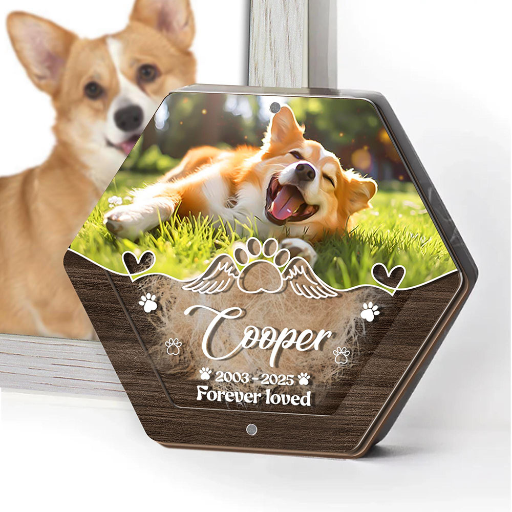 اسم شخصي خشبي نحت صندوق تخزين  - مراجعة Pet Supplies Direct وسعره