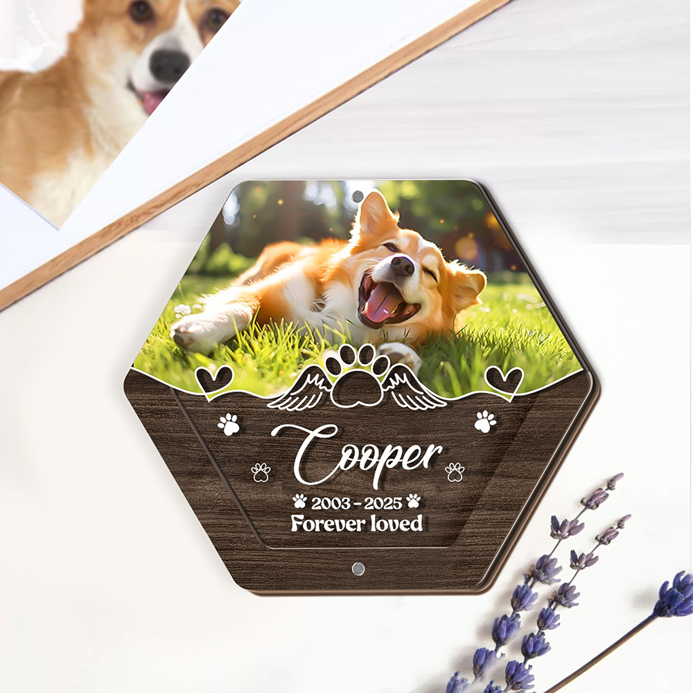 اسم شخصي خشبي نحت صندوق تخزين  - مراجعة Pet Supplies Direct وسعره