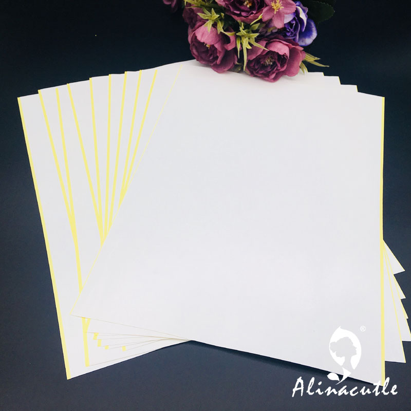 10 قطعة X A4 شريط مزدوج الجوان - مراجعة Pet X Supplies & Tack Howell Photos وسعره