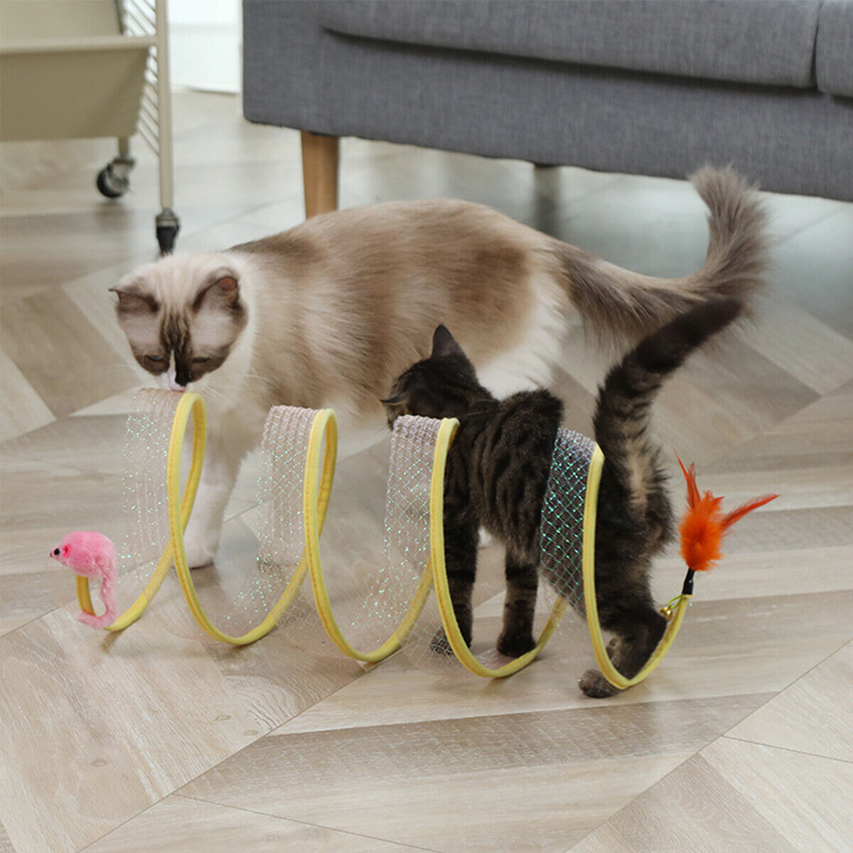 مطوية نفق القط S نوع القطط نفق - مراجعة Cat Tunnel Toy وسعره