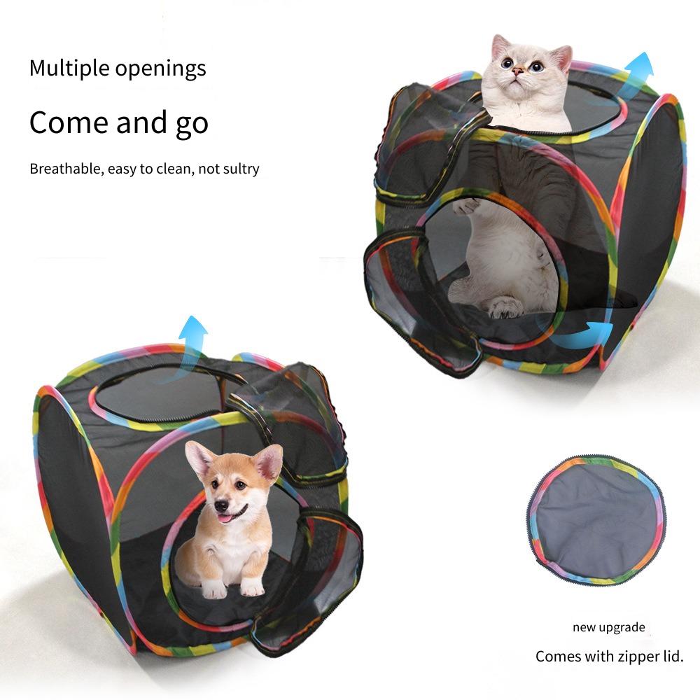 نفق قطط شبكي قابل للطي للاستخد - مراجعة Cat Tunnel Toy وسعره