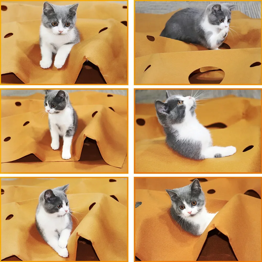 القط اللعب حصيرة ألعاب الحيوان - مراجعة Cat Tunnel Toy وسعره