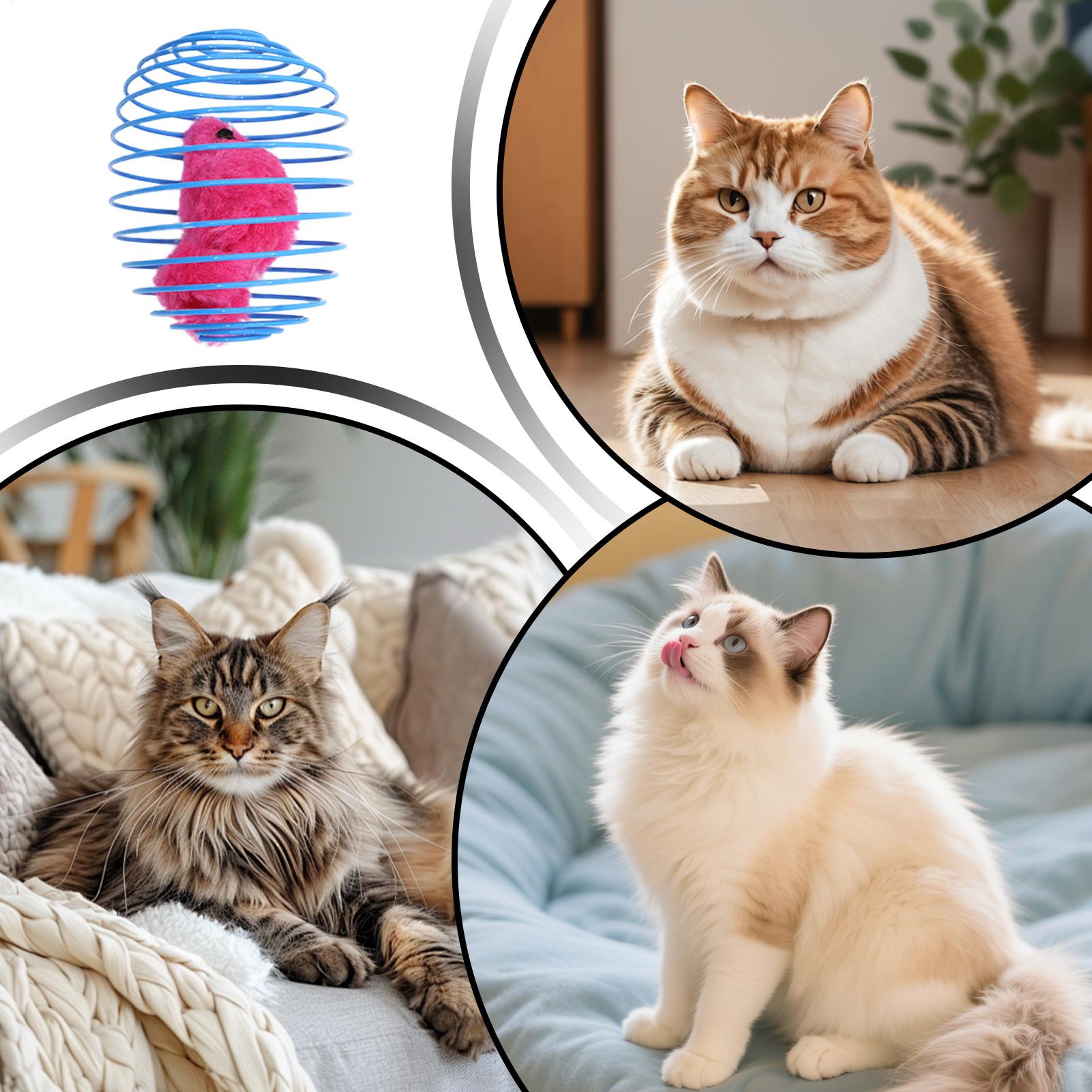 لعبة حلزونية للقطط تفاعلية ومر - مراجعة Cat Tunnel Toy وسعره