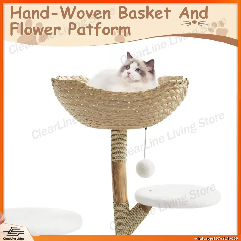 برج أنشطة متعدد المستويات للقط - مراجعة Cat Scratching Post وسعره