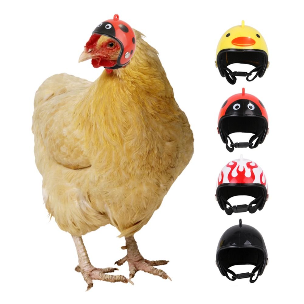 لوازم الحيوانات الأليفة من ABS - مراجعة Pet X Supplies & Tack Howell Photos وسعره
