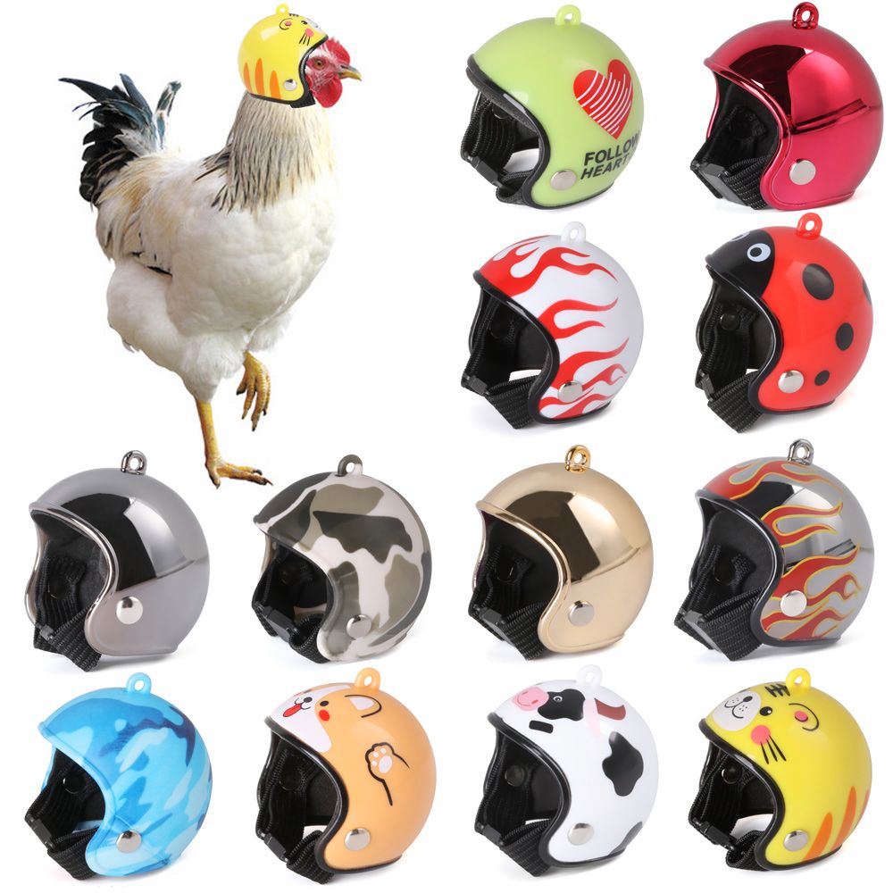لوازم الحيوانات الأليفة من ABS - مراجعة Pet X Supplies & Tack Howell Photos وسعره