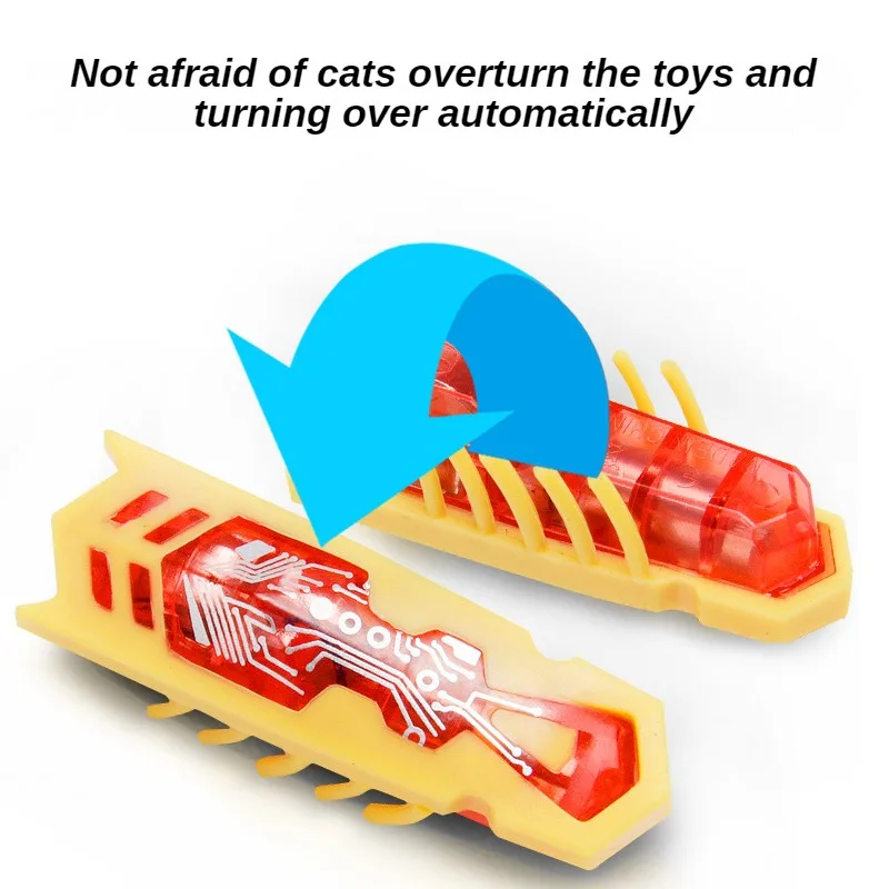 لعبة النعناع البري الكهربائية  - مراجعة Cat Tunnel Toy وسعره