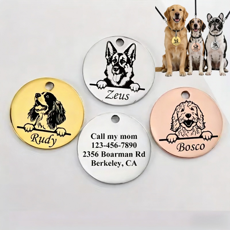 أطواق مخصصة مضادة للضياع للحيو - مراجعة Pet Supplies Direct وسعره