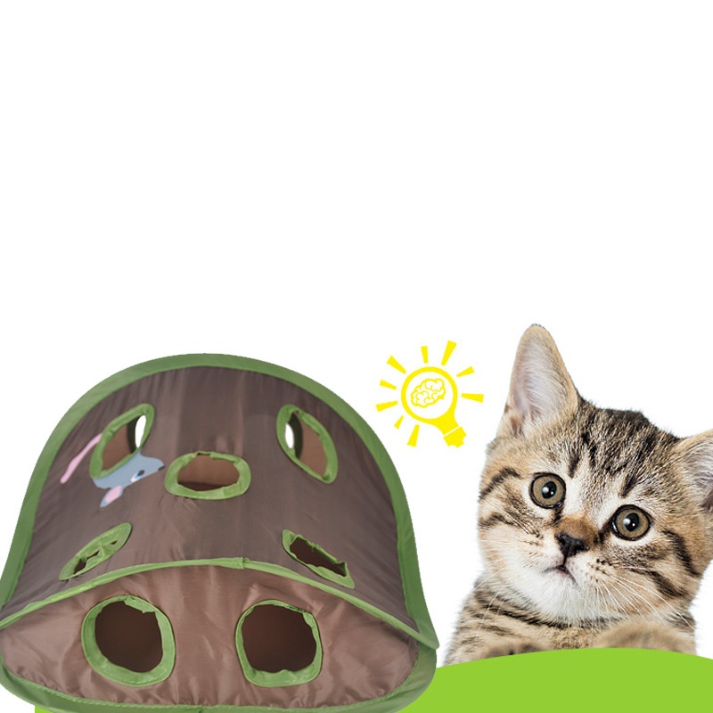 لعبة تفاعلية لطيفة للقطط - لعب - مراجعة Cat Tunnel Toy وسعره