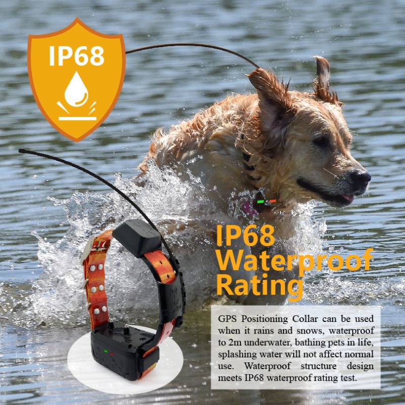 مدير سياج GPS للكلاب من Enterp - مراجعة Pet Supplies Login وسعره