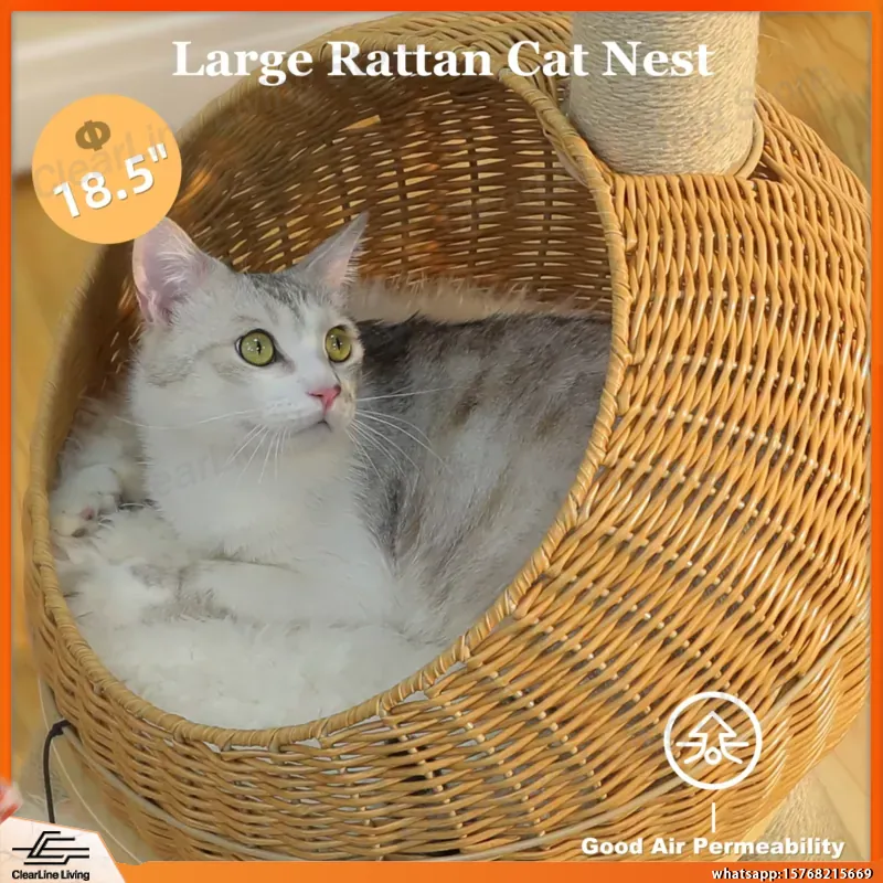 برج قطط على شكل ديناصور مع عمو - مراجعة Cat Scratching Post وسعره