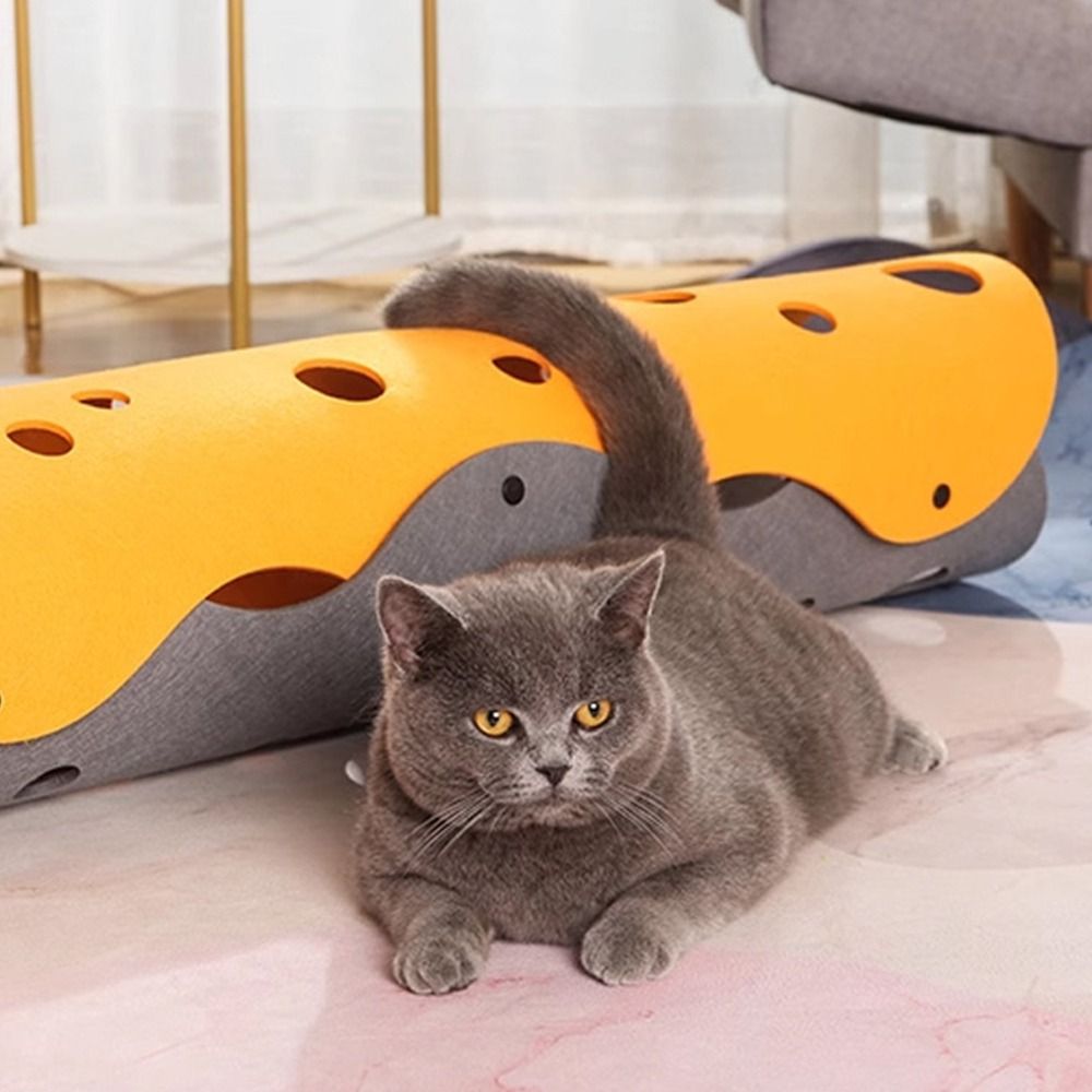 سرير أنفاق قطط متين قابل للطي، - مراجعة Cat Tunnel Toy وسعره