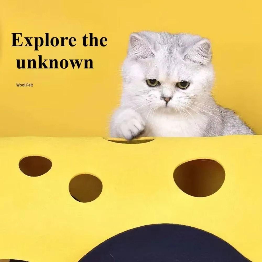 سرير أنفاق قطط متين قابل للطي، - مراجعة Cat Tunnel Toy وسعره