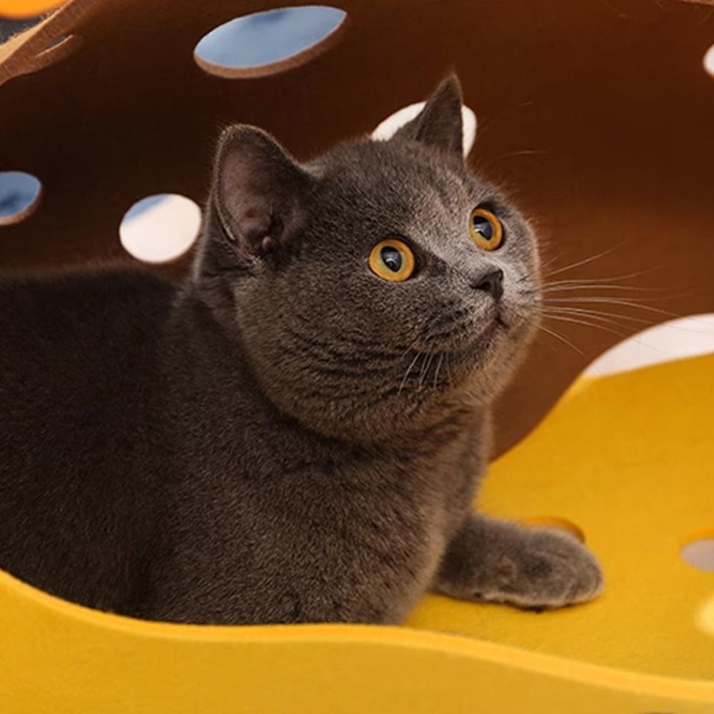 سرير أنفاق قطط متين قابل للطي، - مراجعة Cat Tunnel Toy وسعره